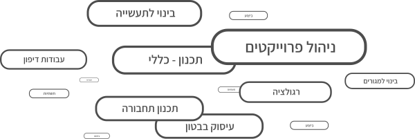 כישורי המועמדים